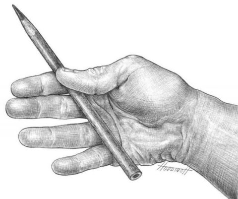 Pencil in Hand