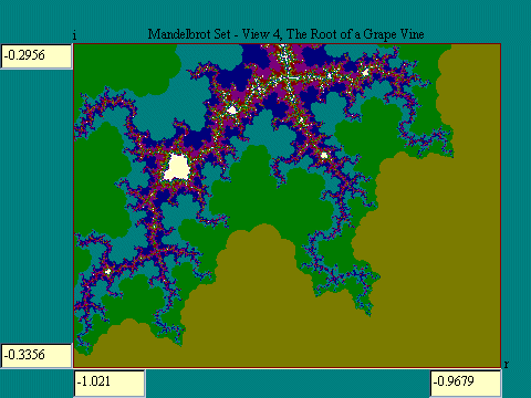 Mandelbrot set grape root