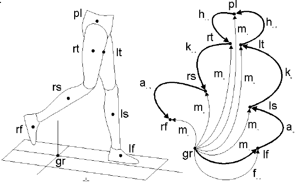 bio-mechanics motor model